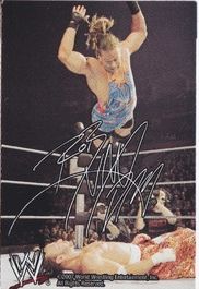 RVD 2007 WWE Ice Cream Cut-out Unilever PW Catalog