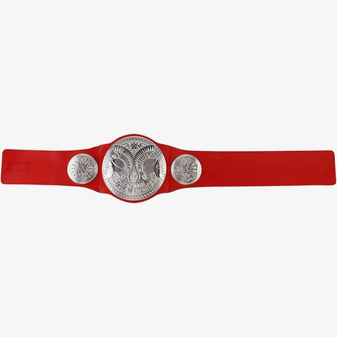 WWE Raw tag team Championship 2024 PWcatalog