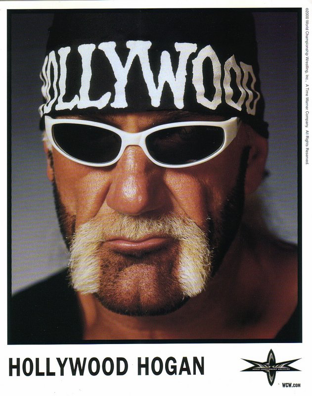 WCW Hollywood Hulk Hogan PW Catalog
