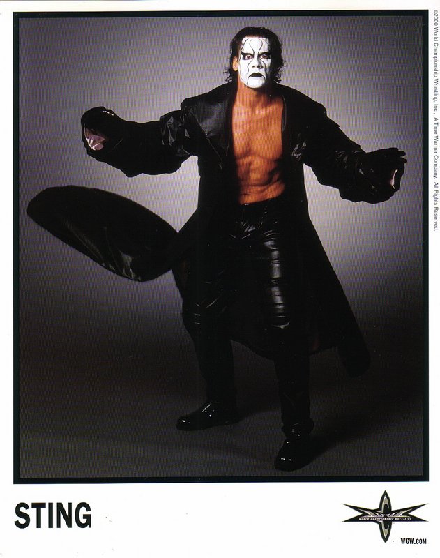 WCW Sting PW Catalog