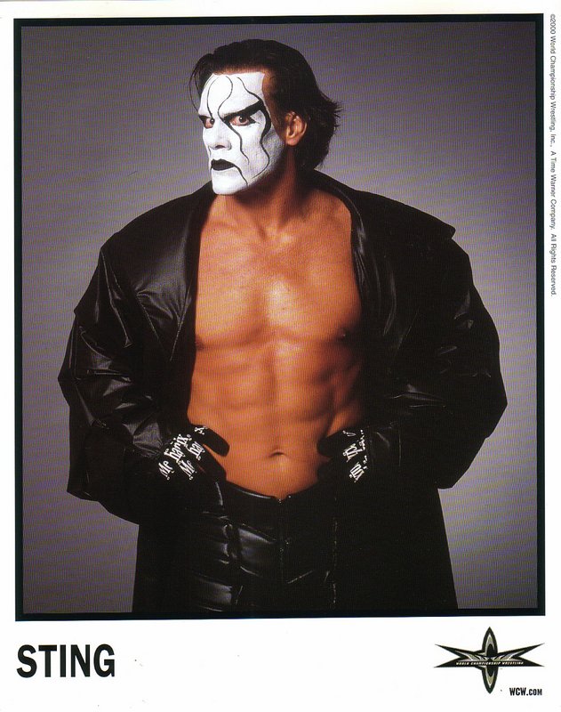 WCW Sting PW Catalog