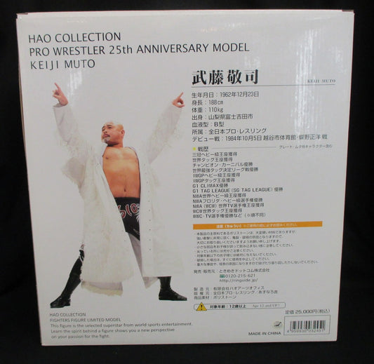 AJPW HAO Collection Pro Wrestler 25th Anniversary Model Keiji Muto Action & Toy Figures PWcatalog