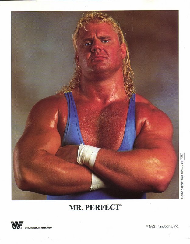 1993 Mr. Perfect P117a color PW Catalog