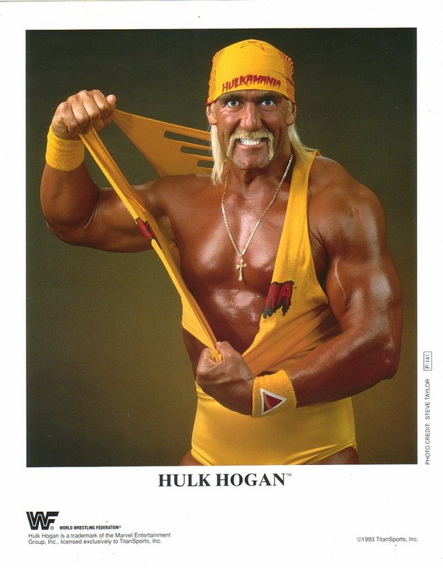 1993 Hulk Hogan P141 color PW Catalog