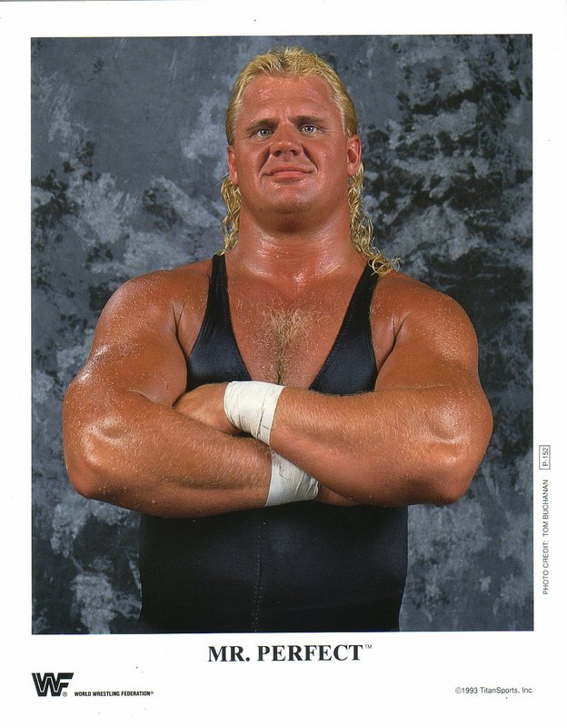 1993 Mr. Perfect P152 color PW Catalog