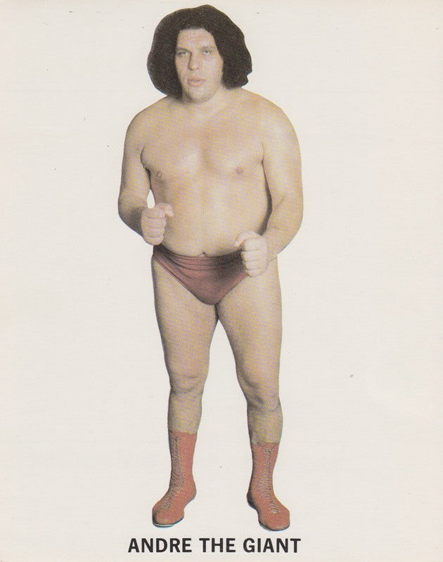 1980's WWWF Andre the Giant Promo Photo PWcatalog