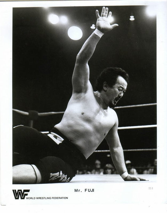 1983 Mr. Fuji #211
