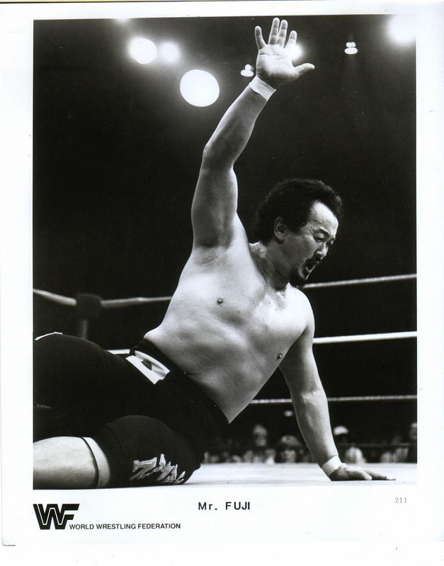 1983 Mr. Fuji #211 PWcatalog