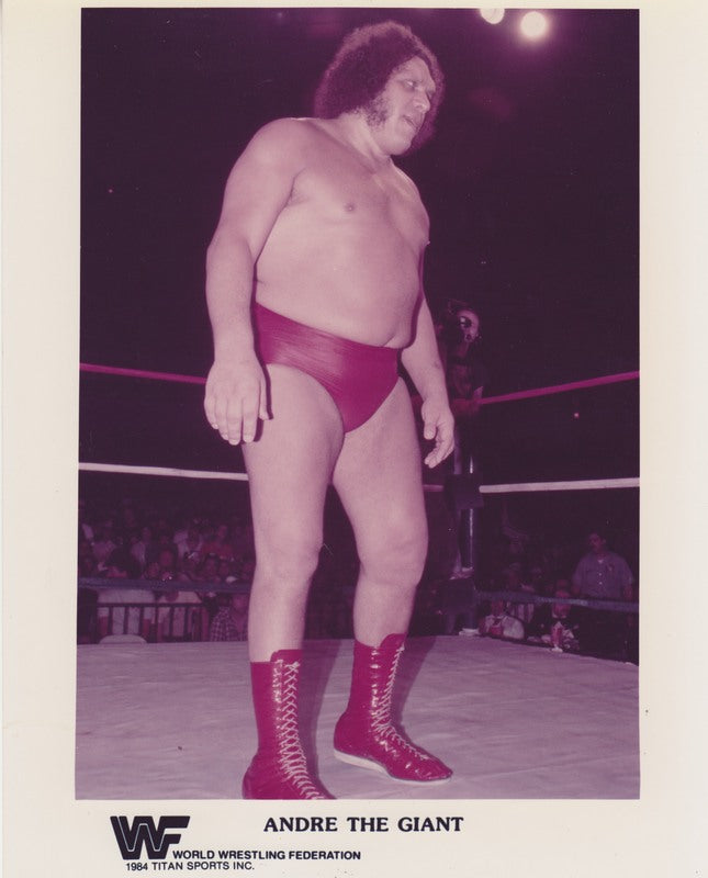1984 Andre the Giant color PWcatalog