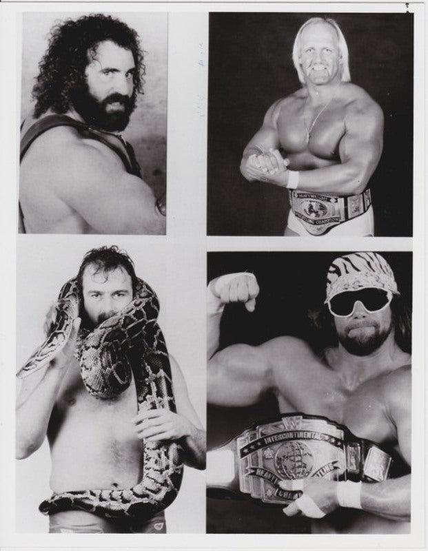 1986 NBC Saturday Night's Main Event#8 Jake the Snake vs. Savage Hercules vs. Hogan PWcatalog