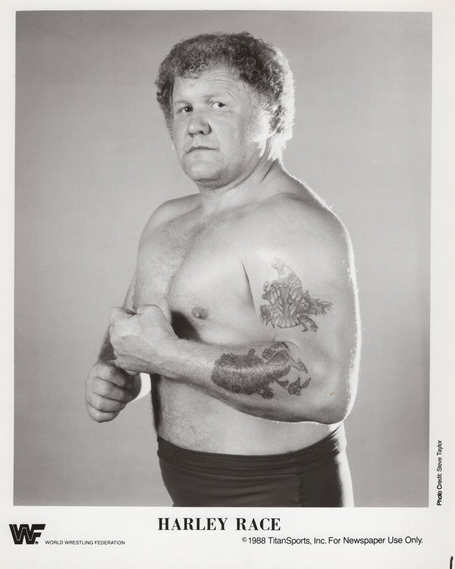 1986 Harley Race PWcatalog