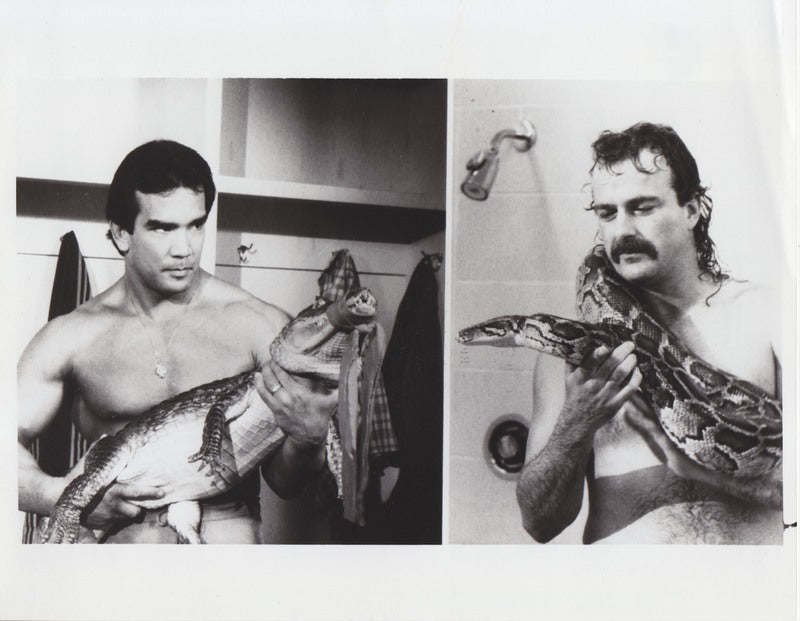 1986 NBC Saturday Night's Main Event#7 Jake the Snake Roberts vs. Ricky Steamboat PWcatalog