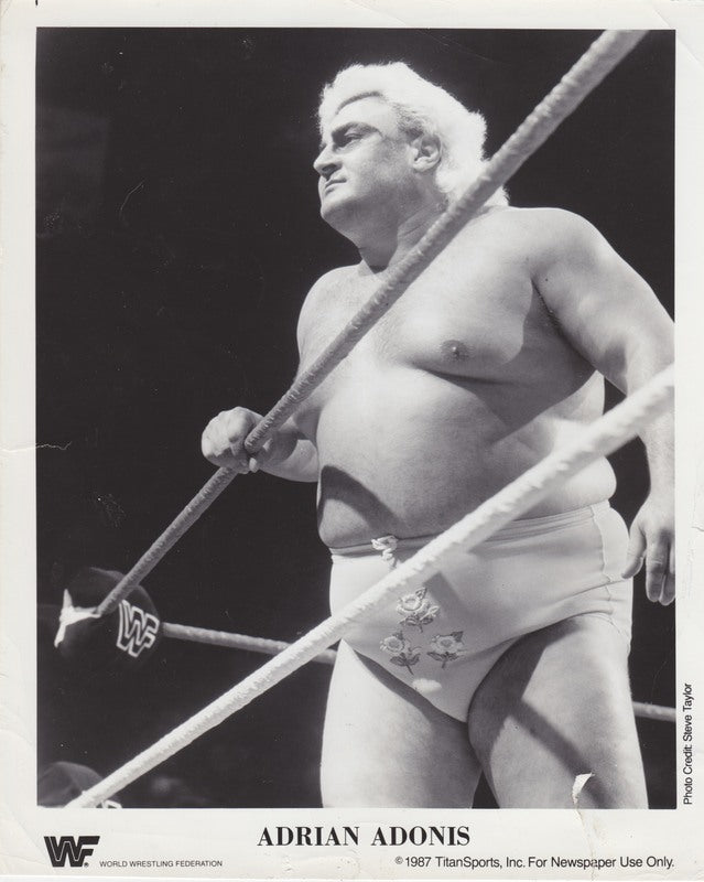 1987 Adrian Adonis PWcatalog
