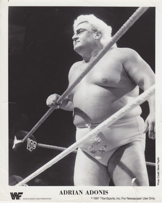 1987 Adrian Adonis PWcatalog