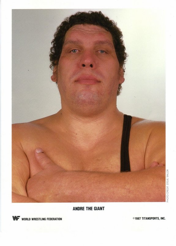 1987 Andre the Giant color PWcatalog