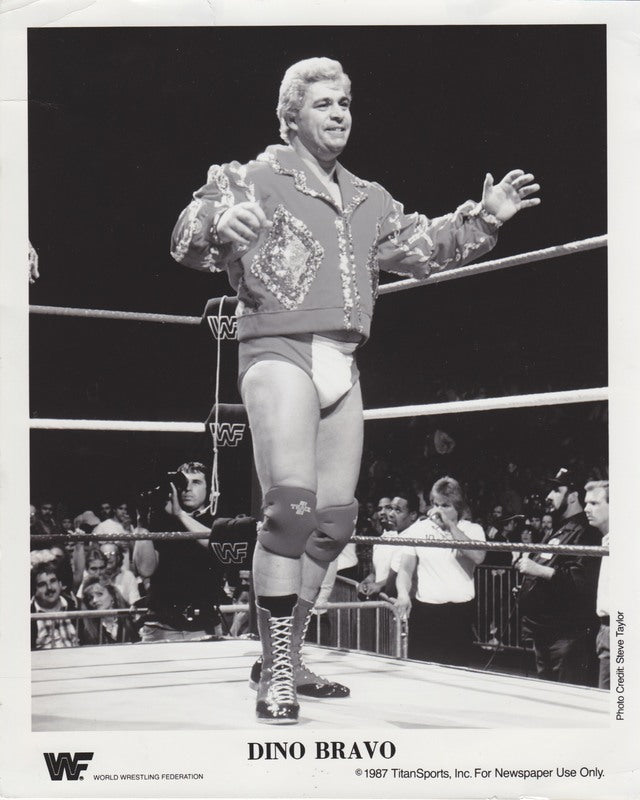 1987 Dino Bravo PWcatalog