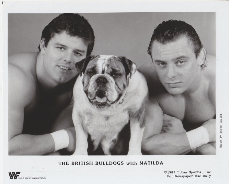 1987 British Bulldogs w/Matilda #1 PWcatalog
