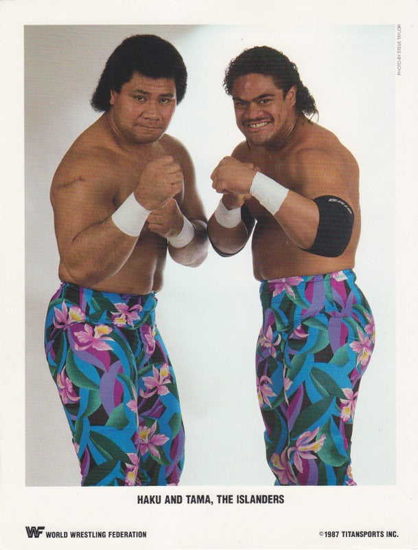 1987 The Islanders color PWcatalog