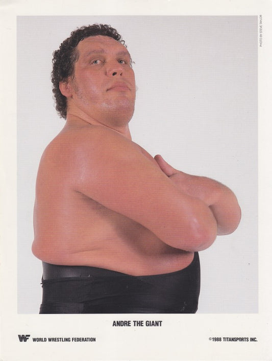 1988 Andre the Giant color PWcatalog