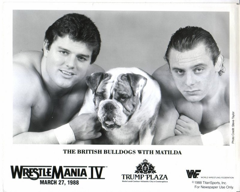 1988 British Bulldogs w/Matilda WM4 PWcatalog