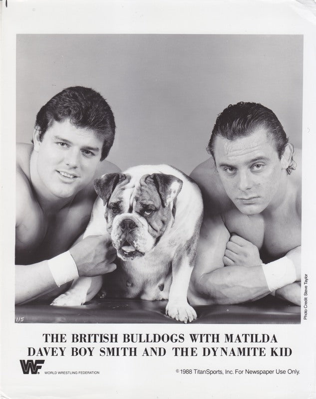 1988 British Bulldogs w/Matilda PWcatalog