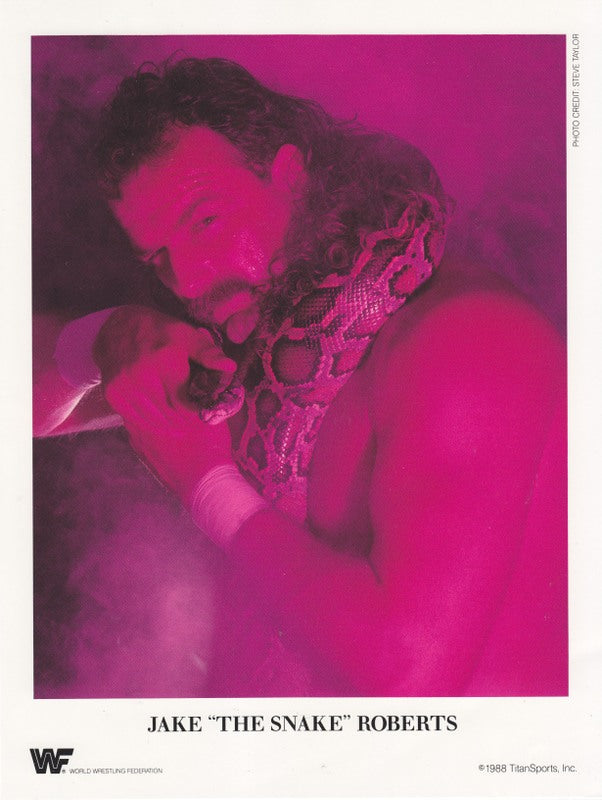 1988 Jake "The Snake" Roberts color PWcatalog