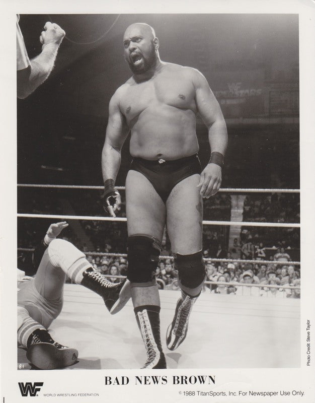 1988 Bad News Brown PWcatalog