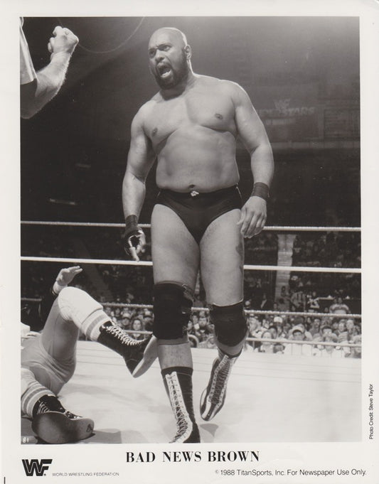 1988 Bad News Brown PWcatalog