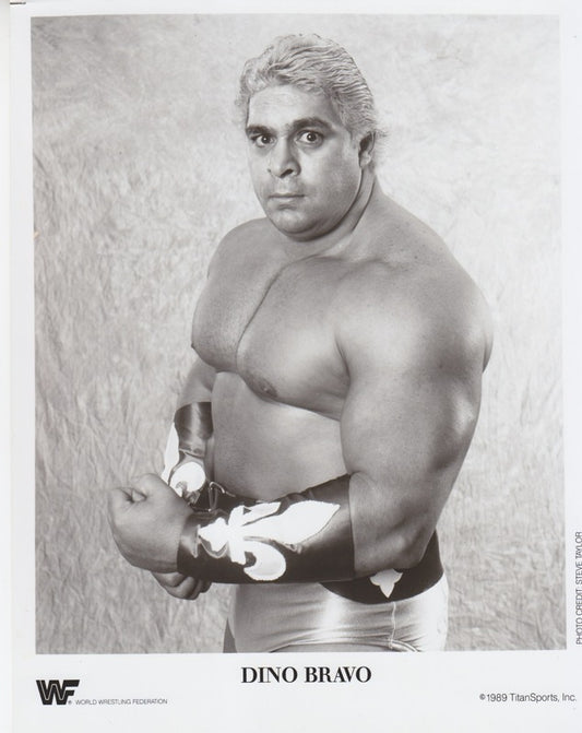1989 Dino Bravo PWcatalog