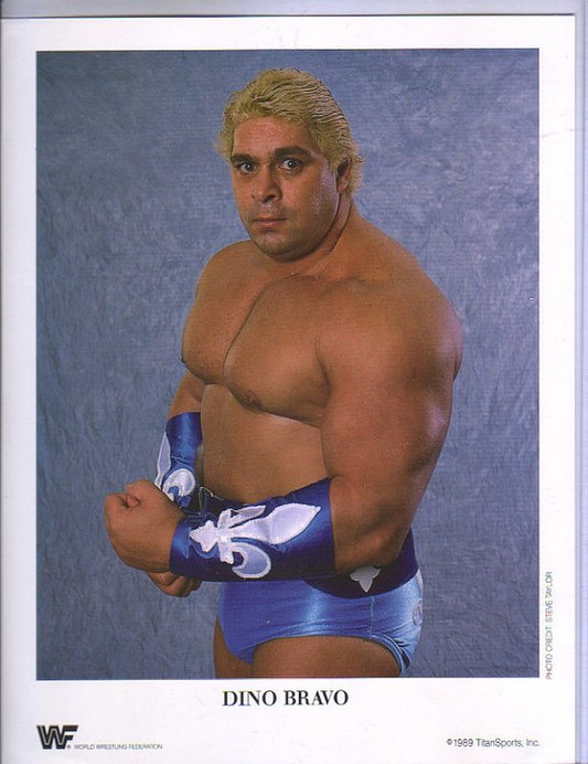 1989 Dino Bravo color PWcatalog