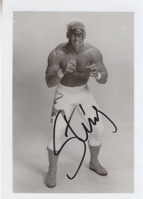NWA/WCW Sting (signed) vintage 5x7 PW Catalog