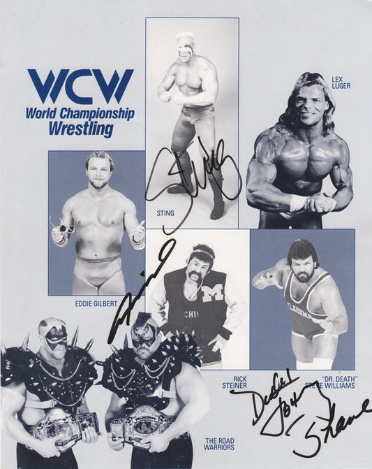 WCW Stars collage (signed by Sting, Animal,Dynamic Dudes) vintage 8x10 PW Catalog