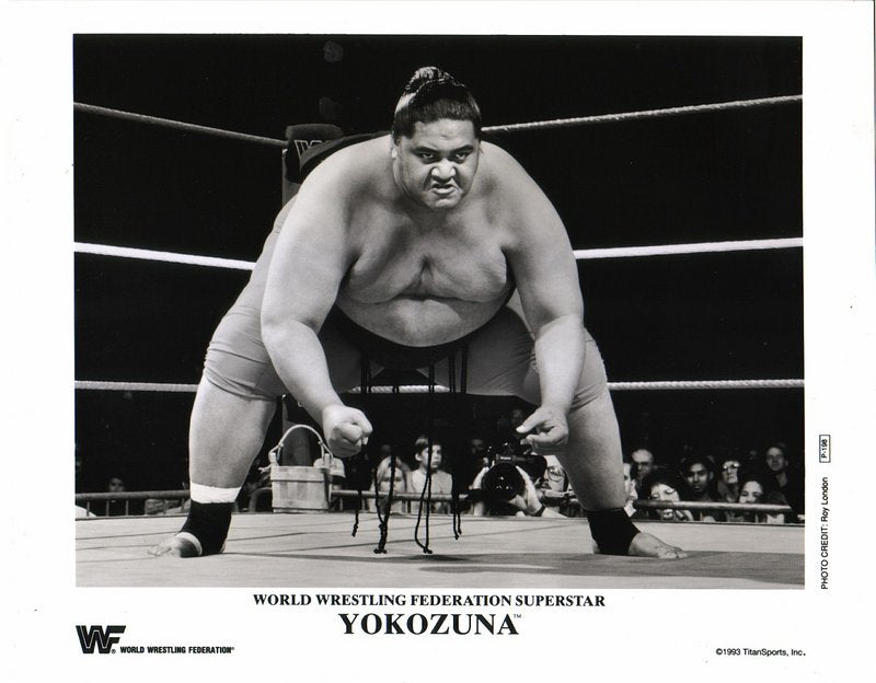1993 Yokozuna P198 (RARE) b/w PW Catalog