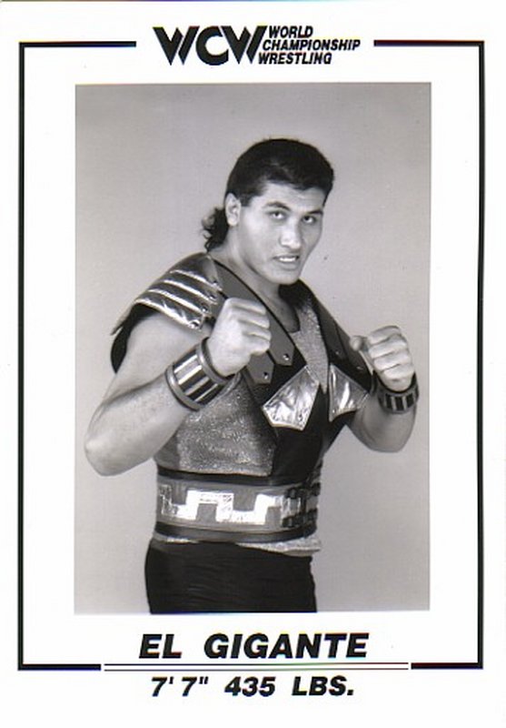 WCW El Gigante 5x7 PW Catalog