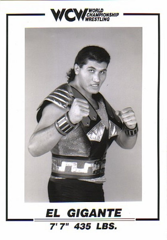 WCW El Gigante 5x7 PW Catalog
