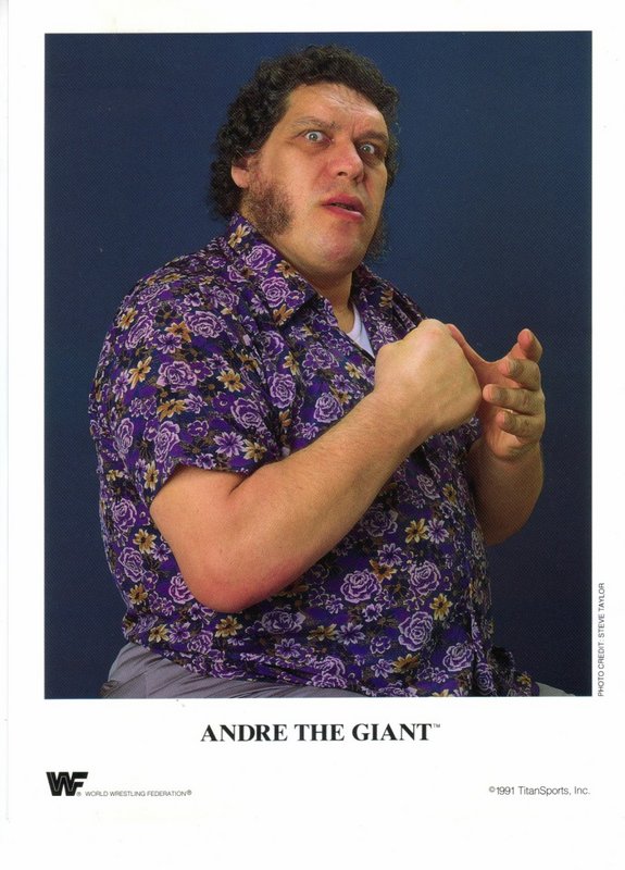 1991 Andre the Giant color PWcatalog