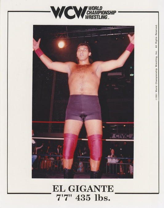 WCW El Gigante PW Catalog