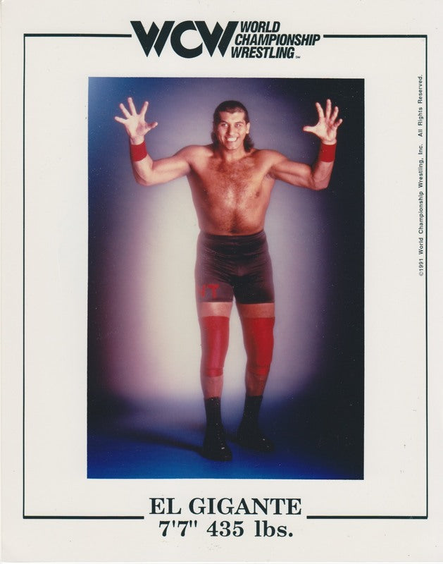WCW El Gigante PW Catalog