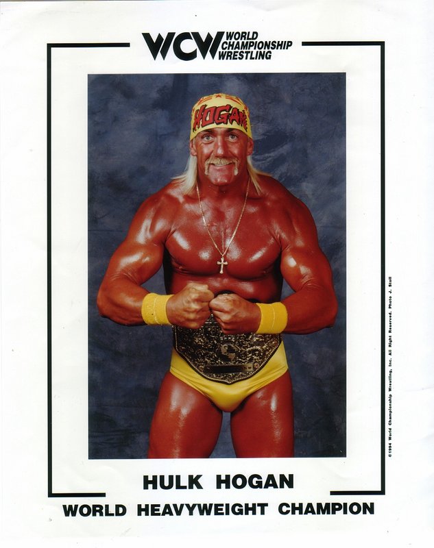 WCW CHAMPION Hulk Hogan PW Catalog