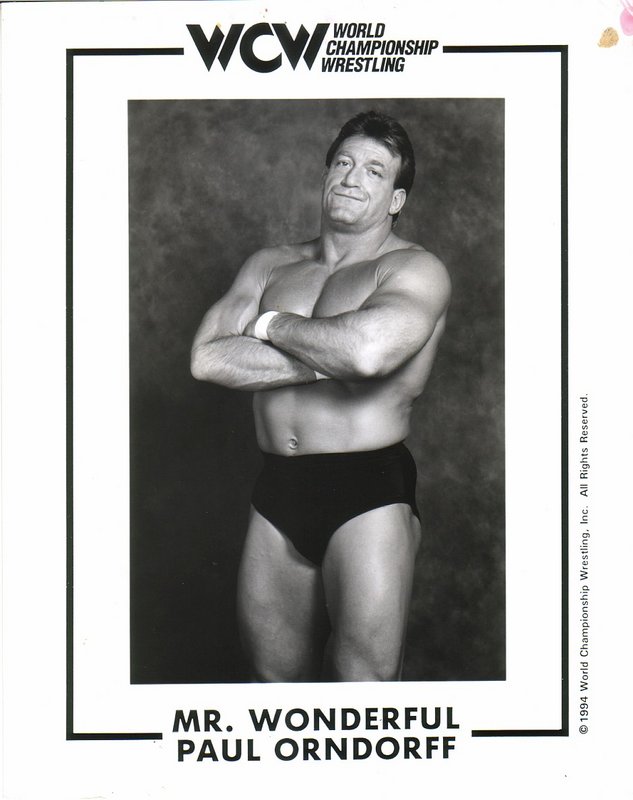 WCW Mr. Wonderful Paul Orndorff PW Catalog