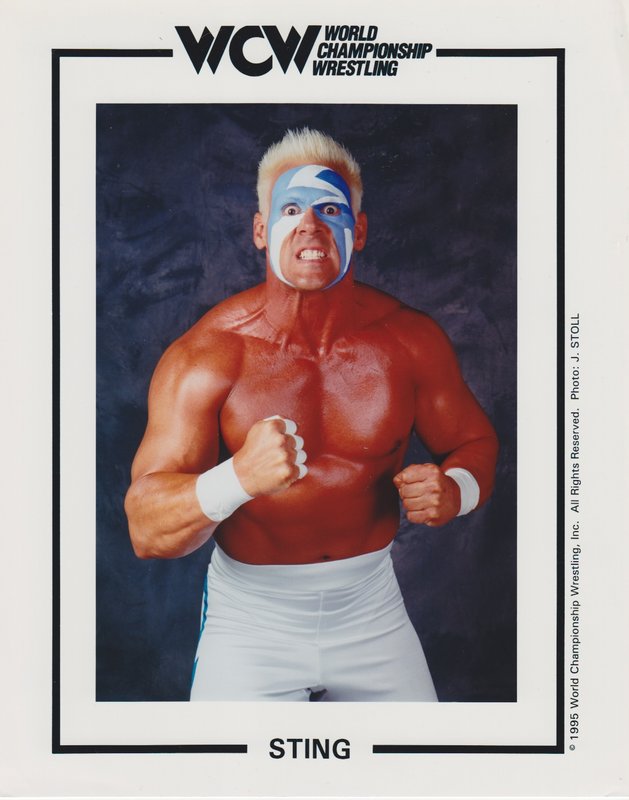 WCW Sting PW Catalog