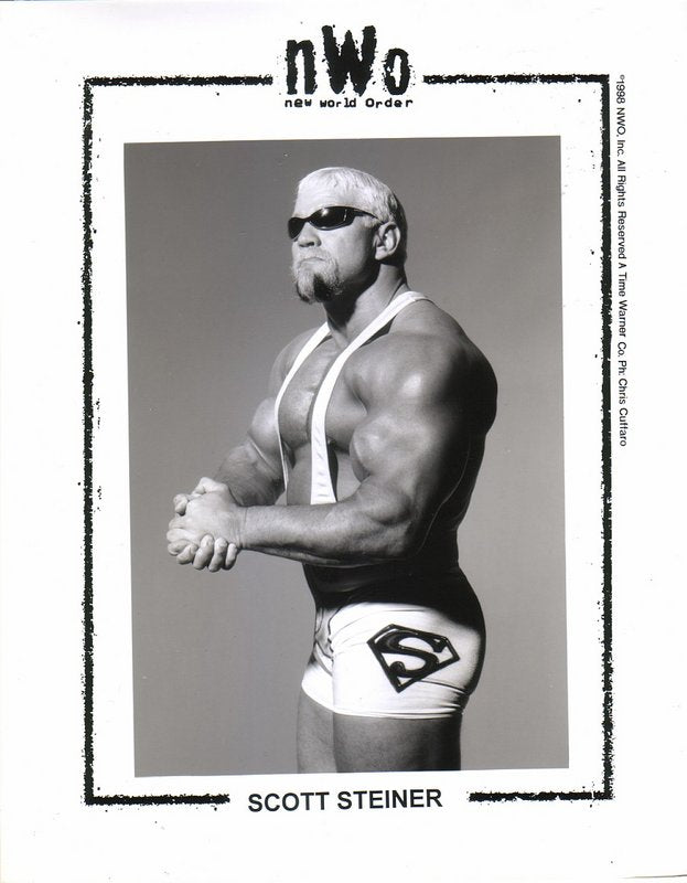 NWO Scott Steiner PW Catalog