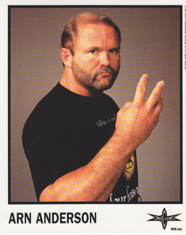 WCW Arn Anderson PW Catalog