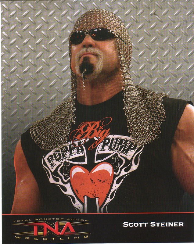 2007-2008 TNA Scott Steiner PW Catalog