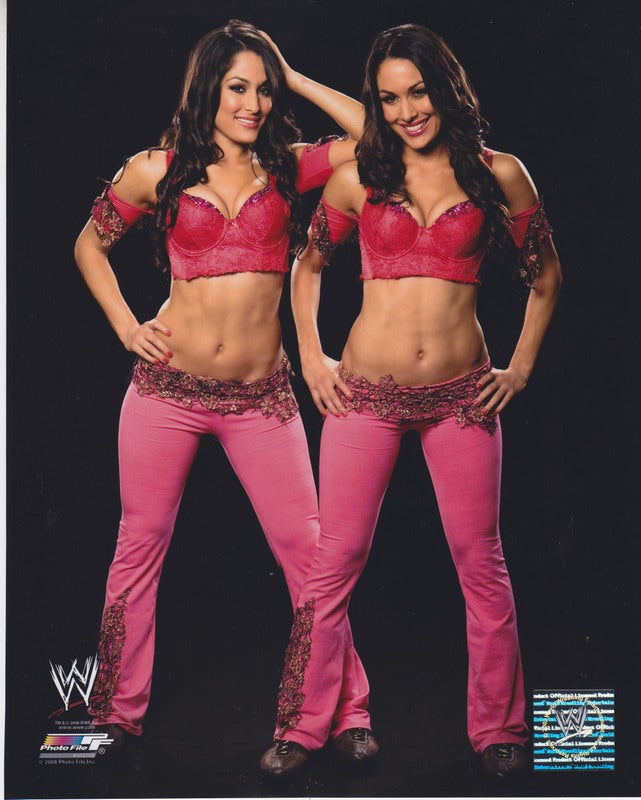 2008 Bella Twins licensed photofile color PW Catalog