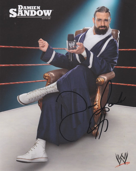 2013 Damien Sandow (signed) WWE Promo Photo PW Catalog