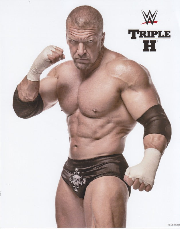 2015 Triple H WWE Promo Photo PW Catalog