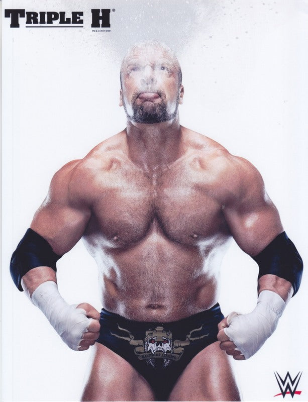 2015 Triple H WWE Promo Photo PW Catalog