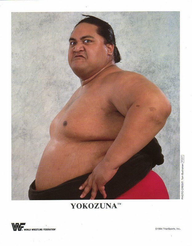 1994 Yokozuna P217 color PW Catalog
