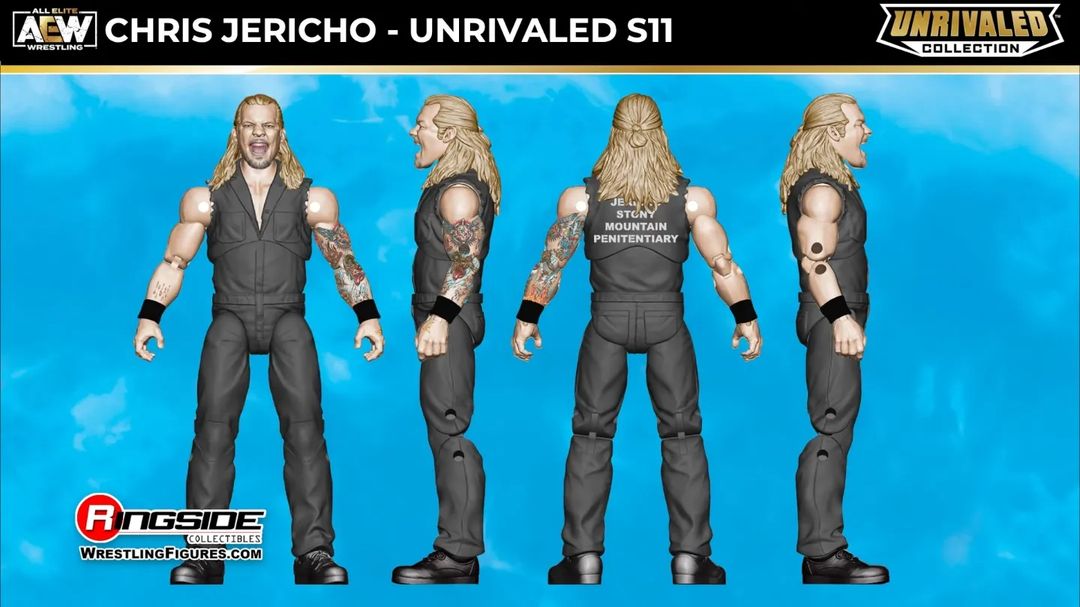 AEW Jazwares Unrivaled Collection 11 Chris Jericho Action & Toy Figures PWcatalog